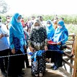 Ketua Gerakan Pemasyarakatan Minat Baca (GPBM) Sumut Nawal Lubis meresmikan Kafe Baca untuk Penggiat Literasi di Pantai Sejarah Perupuk, Kabupaten Batu Bara, Senin (20/12/2021). Pada kegiatan ini, Ketua GPBM Sumut juga memberikan santunan kepada anak yatim dan bantuan sembako kepada guru honorer di Kabupaten Batu Bara.