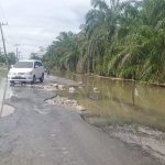 Kondisi jalan dari Simpang Belidaan Kecamatan Sei Rampah yang rusak.