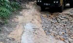 Satu unit truk pengangkut hasil bumi pertanian saat melintasi jalan kabupaten di Luat Doloksordang yang rusaknya parah.