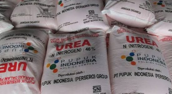 Tumpukan pupuk urea bersubsidi