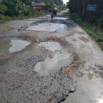 Badan jalan provinsi di Kecamatan Hutaraja Tinggi yang sudah seperti rawa-rawa karena berlobang. Truk atau armada angkutan umum pasti "berjoget" saat melintasi jalan rusak parah ini.