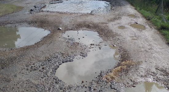 Badan jalan provinsi di Kecamatan Hutaraja Tinggi yang sudah seperti rawa-rawa karena berlobang. Truk atau armada angkutan umum pasti "berjoget" saat melintasi jalan rusak parah ini.
