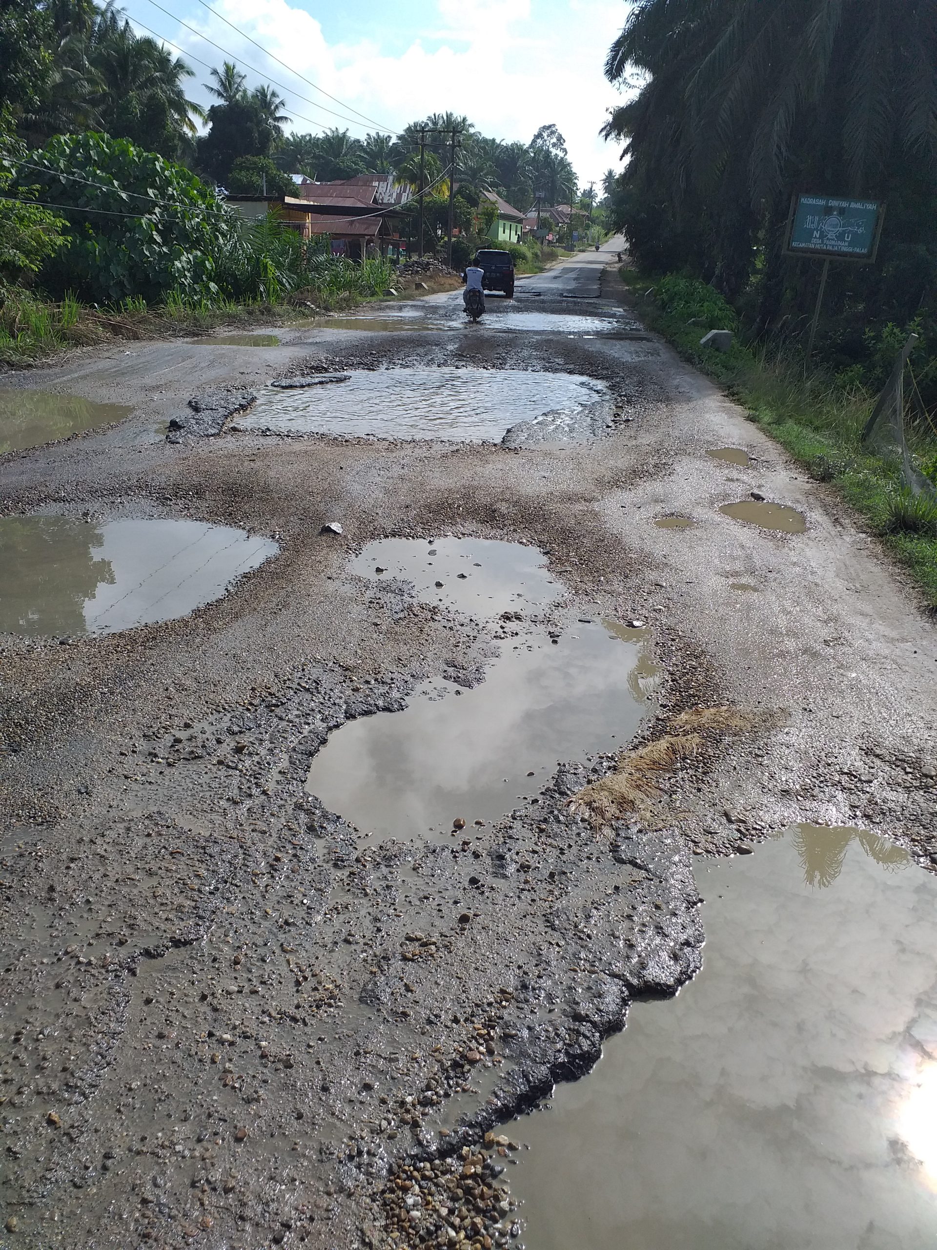 Badan jalan provinsi di Kecamatan Hutaraja Tinggi yang sudah seperti rawa-rawa karena berlobang. Truk atau armada angkutan umum pasti "berjoget" saat melintasi jalan rusak parah ini.