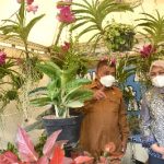 Ketua TP PKK Provinsi Sumatera Utara Nawal Lubis didampingi Plt Kepala Dinas Tanaman Pangan dan Hortikultura Bahruddin Siregar meninjau Pameran FLorikultura Sumut Tahun 2022 di Kantor Dinas Tanaman Pangan dan Holtikultura, Jalan A.H. Nasution Medan, Selasa (15/03).