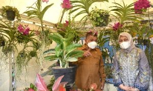 Ketua TP PKK Provinsi Sumatera Utara Nawal Lubis didampingi Plt Kepala Dinas Tanaman Pangan dan Hortikultura Bahruddin Siregar meninjau Pameran FLorikultura Sumut Tahun 2022 di Kantor Dinas Tanaman Pangan dan Holtikultura, Jalan A.H. Nasution Medan, Selasa (15/03).