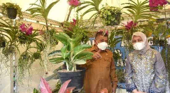 Ketua TP PKK Provinsi Sumatera Utara Nawal Lubis didampingi Plt Kepala Dinas Tanaman Pangan dan Hortikultura Bahruddin Siregar meninjau Pameran FLorikultura Sumut Tahun 2022 di Kantor Dinas Tanaman Pangan dan Holtikultura, Jalan A.H. Nasution Medan, Selasa (15/03).