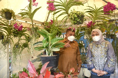 Ketua TP PKK Provinsi Sumatera Utara Nawal Lubis didampingi Plt Kepala Dinas Tanaman Pangan dan Hortikultura Bahruddin Siregar meninjau Pameran FLorikultura Sumut Tahun 2022 di Kantor Dinas Tanaman Pangan dan Holtikultura, Jalan A.H. Nasution Medan, Selasa (15/03).