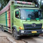 Satu unit truk angkutan bahan kebutuhan pokok warga saat melintasi badan jalan provinsi yang tadinya lobang yang menganga dan dipastikan membahayakan armada begitu besar yang melintasinya. Foto diambil Kamis (07/04/2022) petang.