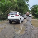 Kondisi jalan provinsi di salah satu kecamatan di Kabupaten Padanglawas yang terlihat kupak-kapik sehingga menyulitkan para pengguna jalan.