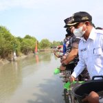 Bupati Sergai Darma Wijaya (baju putih) bersama Komandan Lantamal I Laksamana Pertama TNI Johanes Djanarko Wibowo menebar benih kerang kampung Bahari Nusantara yang digelar di Desa Bagan Kuala, Kecamatan Tanjung Beringin, Rabu (20/4/2022).