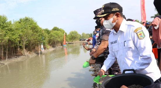 Bupati Sergai Darma Wijaya (baju putih) bersama Komandan Lantamal I Laksamana Pertama TNI Johanes Djanarko Wibowo menebar benih kerang kampung Bahari Nusantara yang digelar di Desa Bagan Kuala, Kecamatan Tanjung Beringin, Rabu (20/4/2022).
