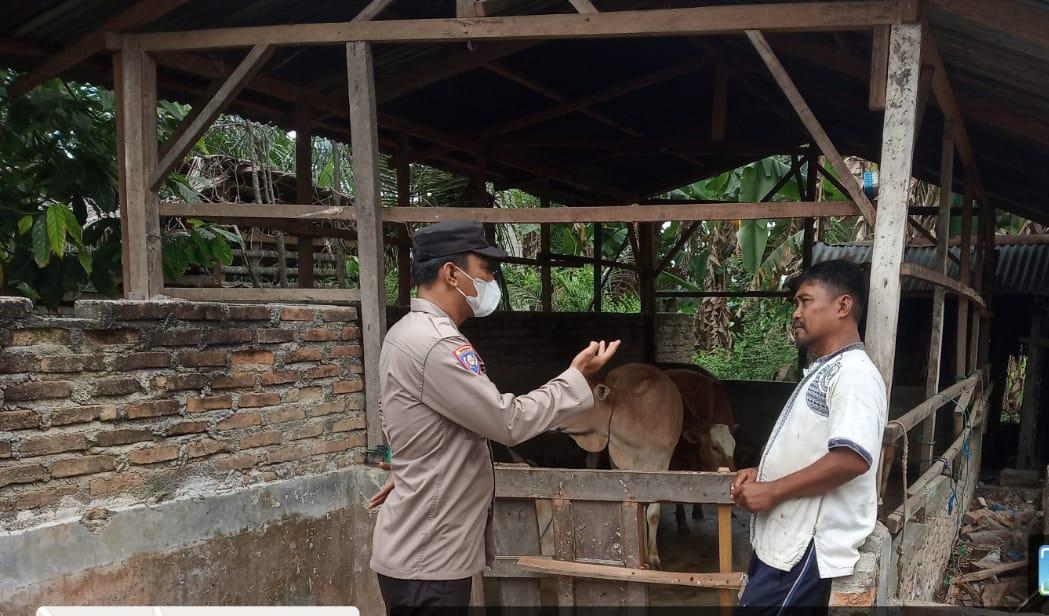 Aipda Hendra saat menyambangi kandang ternak milik warga terkait merebaknya PMK terhadap ternak.