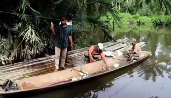 Warga desa Lawa Batu, Kecamatan Kuala, Nagan Raya terlihat sedang mengumpulkan ikan yang mati