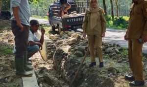 Camat Bintang Bayu Fitrianti melihat langsung perbaikan drainase yang ambruk oleh pihak rekanan.