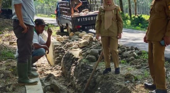 Camat Bintang Bayu Fitrianti melihat langsung perbaikan drainase yang ambruk oleh pihak rekanan.