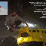 Personil Polsek Pantai Cermin bersama tim Inafis melakukan olah TKP penemuan mayat tanpa identitas di muara sungai Dusun I Desa Lubuk Saban.