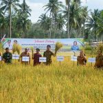 SAVE_20221129_0858431669687235576