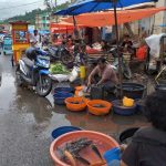 SAVE_20221207_1305221670393176865