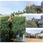 IMG-20230227-WA00451677502001781