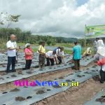 Picsart_23-05-03_22-43-25-4271683128753518