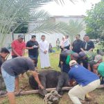 IMG-20240617-WA0010_1718622175200