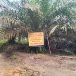 IMG-20241019-WA0014_1729316319574