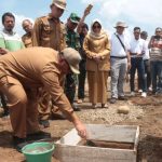 IMG-20241029-WA0017_1730200804639