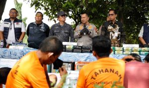 IMG-20251107-WA0038_1762525978500