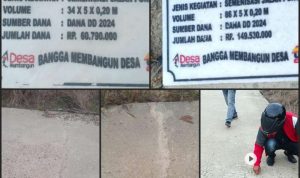 IMG-20251115-WA0001_1763163410890