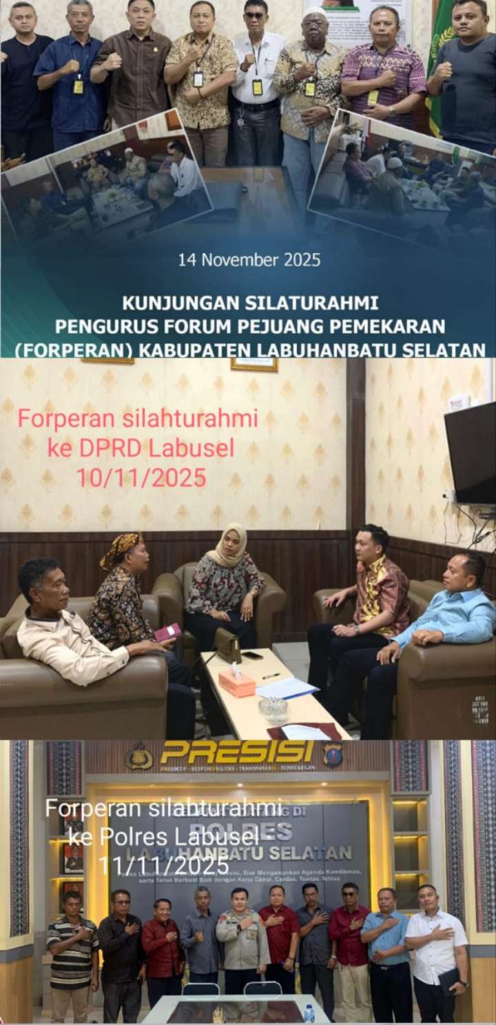 IMG-20251117-WA0005_1763445821555