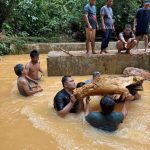 IMG-20251208-WA0006_1765182646025