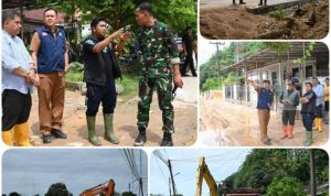 IMG-20251208-WA0010_1765183287354