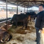 IMG-20260126-WA0013_1769415992179