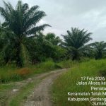 IMG-20260217-WA0012_1771343176631