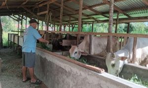 IMG-20260415-WA0002_1776235945709